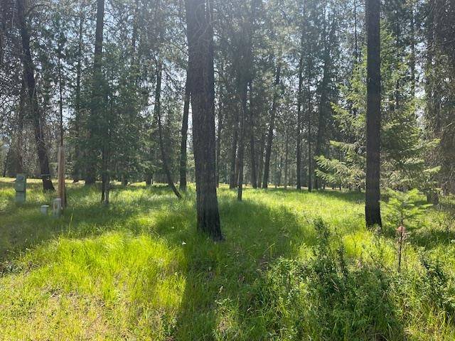 Chewelah, WA 99109,203 Eagle Dr