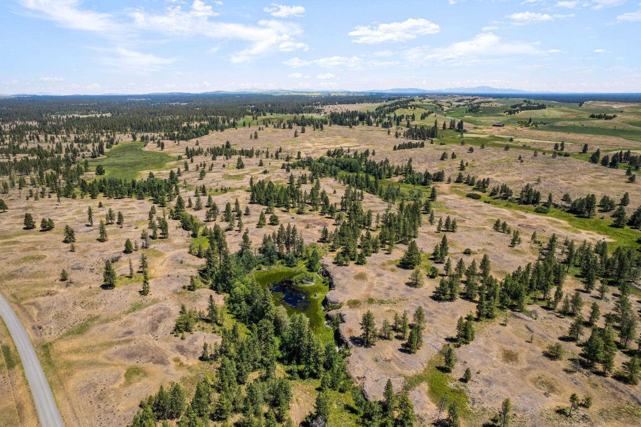 Cheney, WA 99004,27000 Blk S Pine Springs Rd