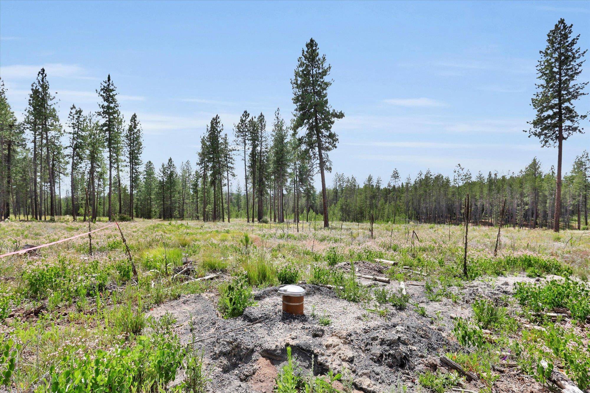 Deer Park, WA 99006,000 W DENISON-CHATTAROY Rd