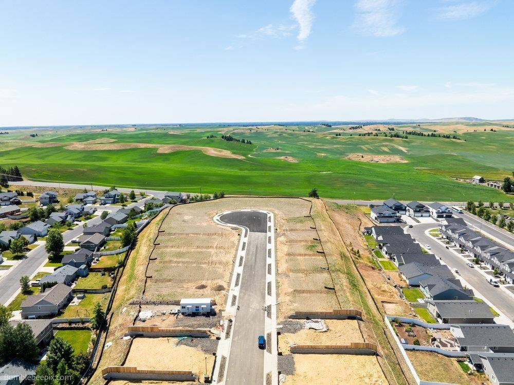 Cheney, WA 99004,1003 Steptoe View Ln