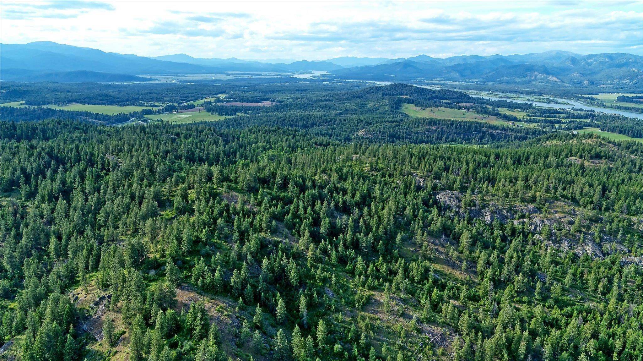 Newport, WA 99156,Address not disclosed