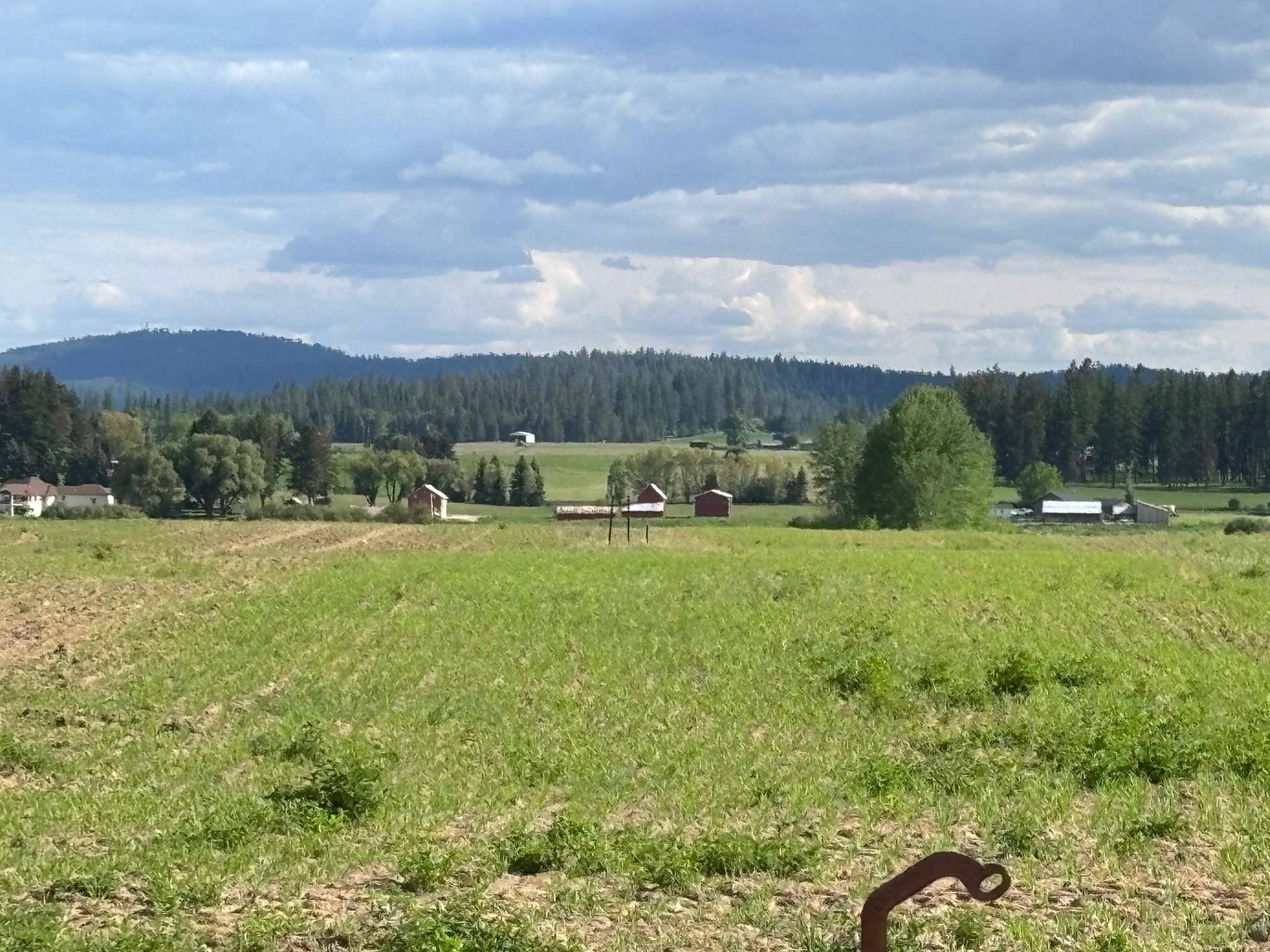 Deer Park, WA 99006,46XX Bittrich-Antler Rd