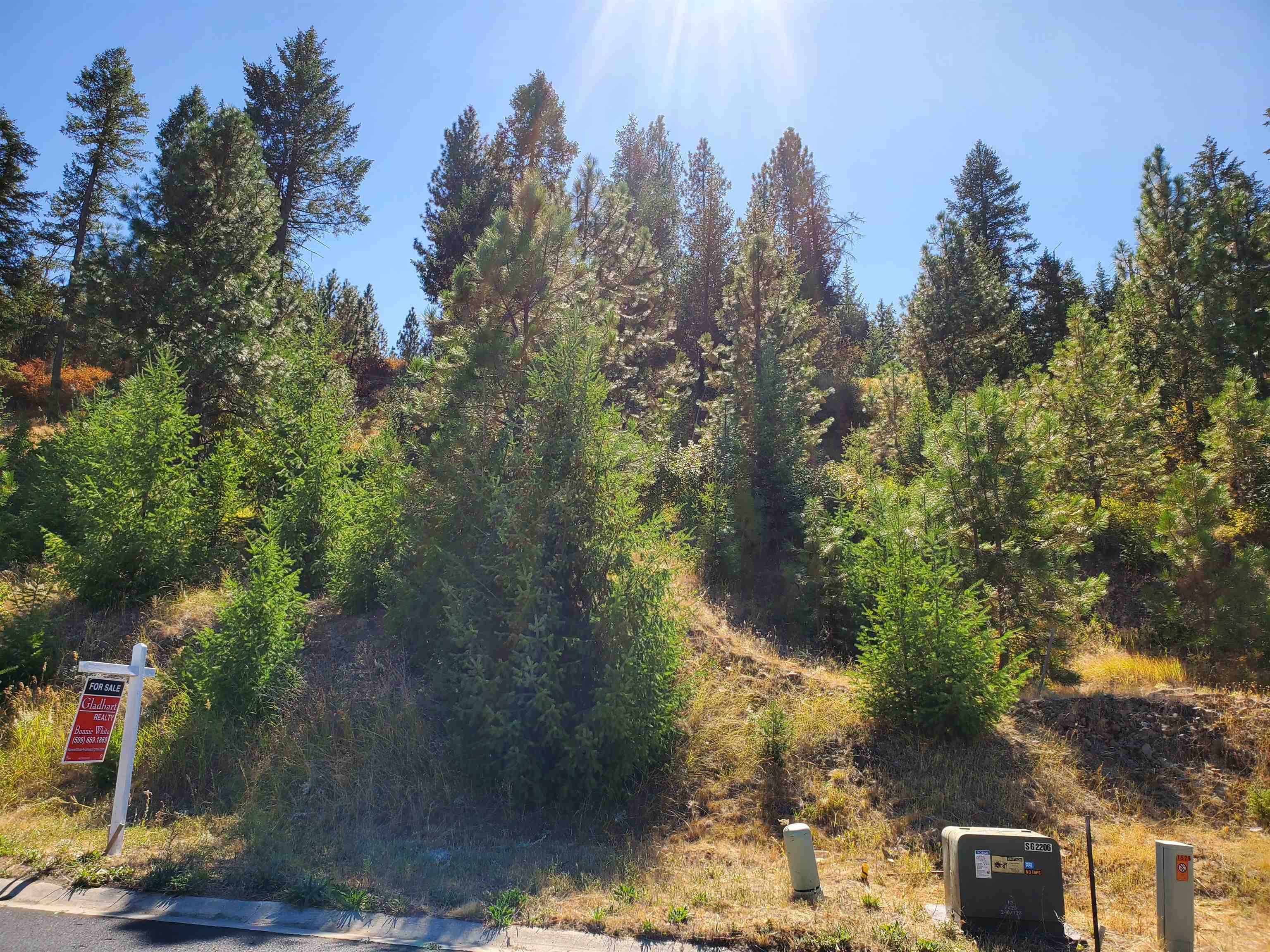 Spokane, WA 99218,1525 W Carl J Ln