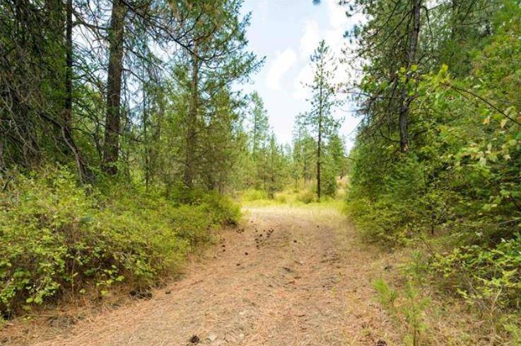 Fruitland, WA 99129,NKA Castle Rock Lot 5 & 6 Creek Rd
