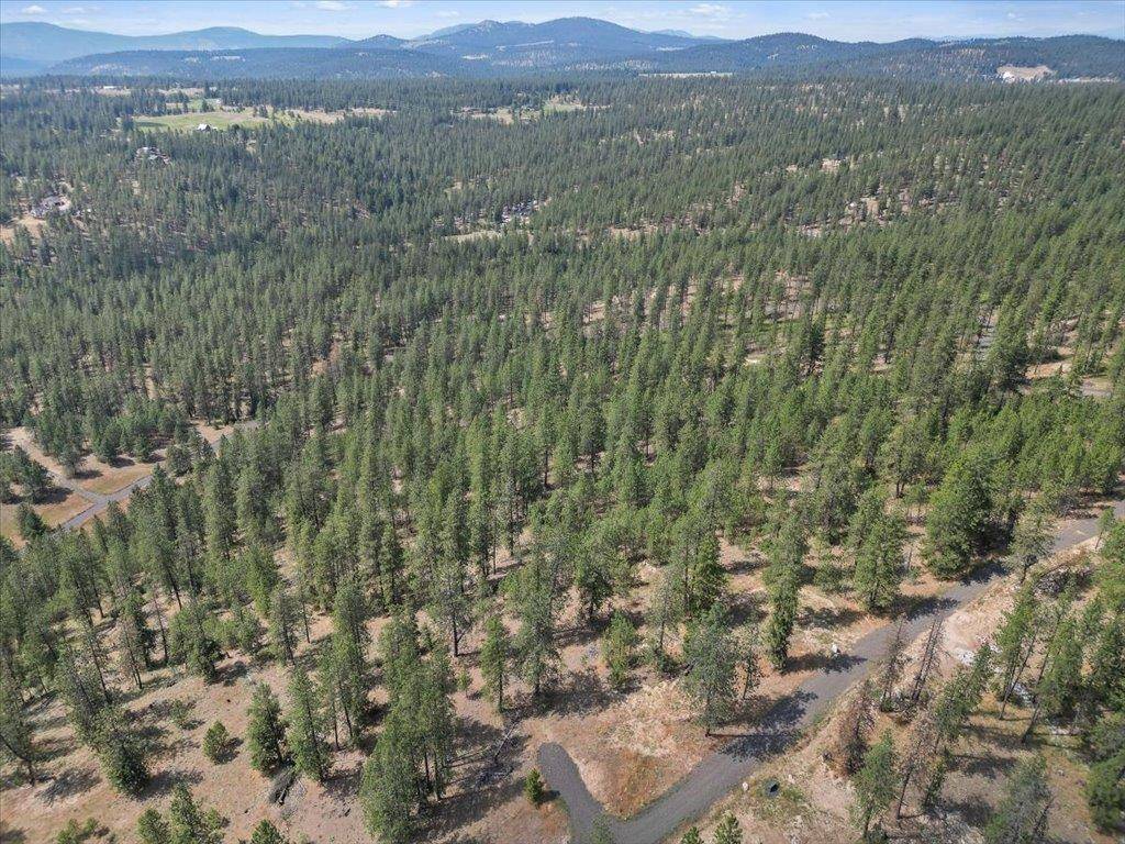 Deer Park, WA 99006,NKA Weaver WAY #Lot D of Lot 6