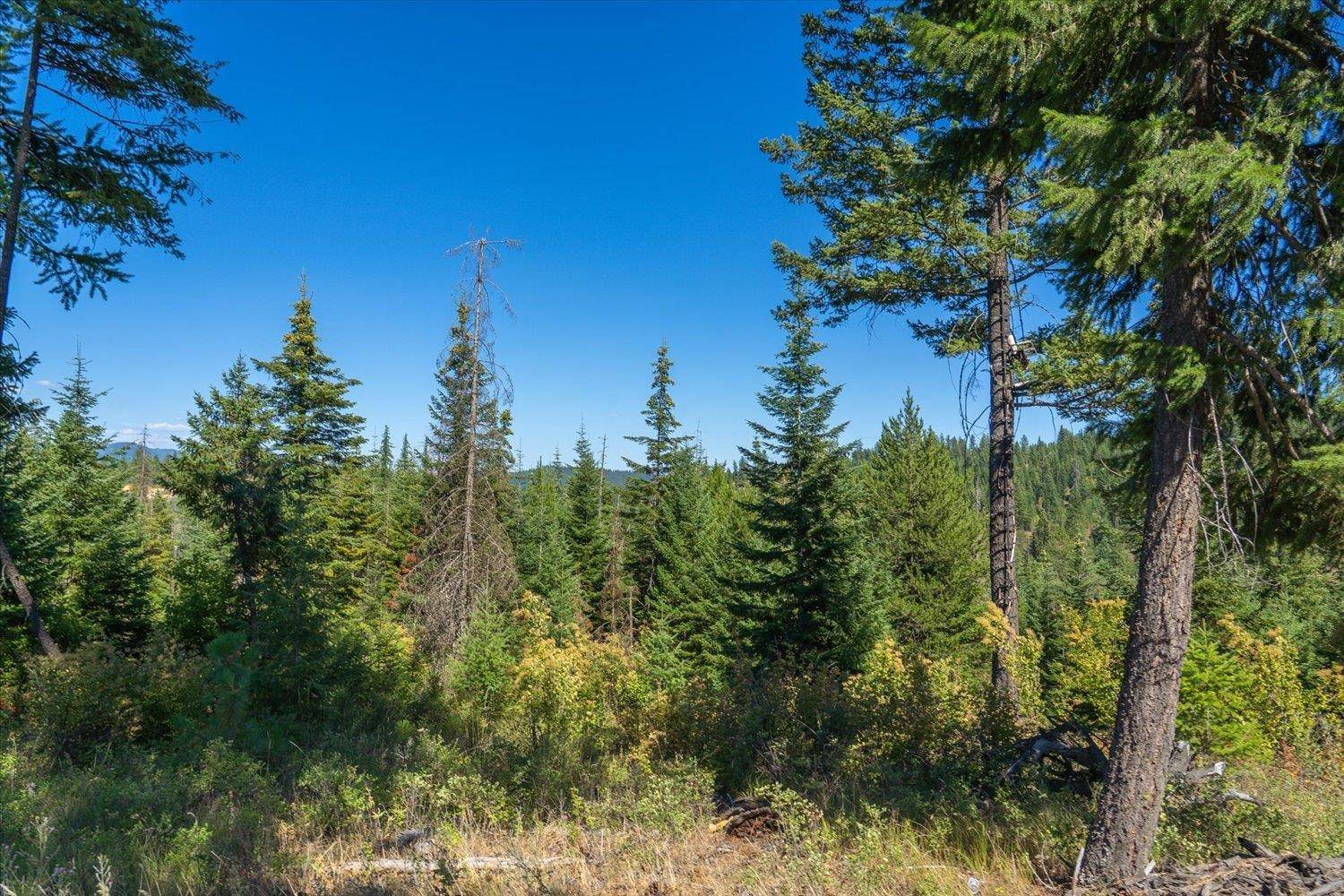 Otis Orchards, WA 99027,21620 E Lakeview Rd