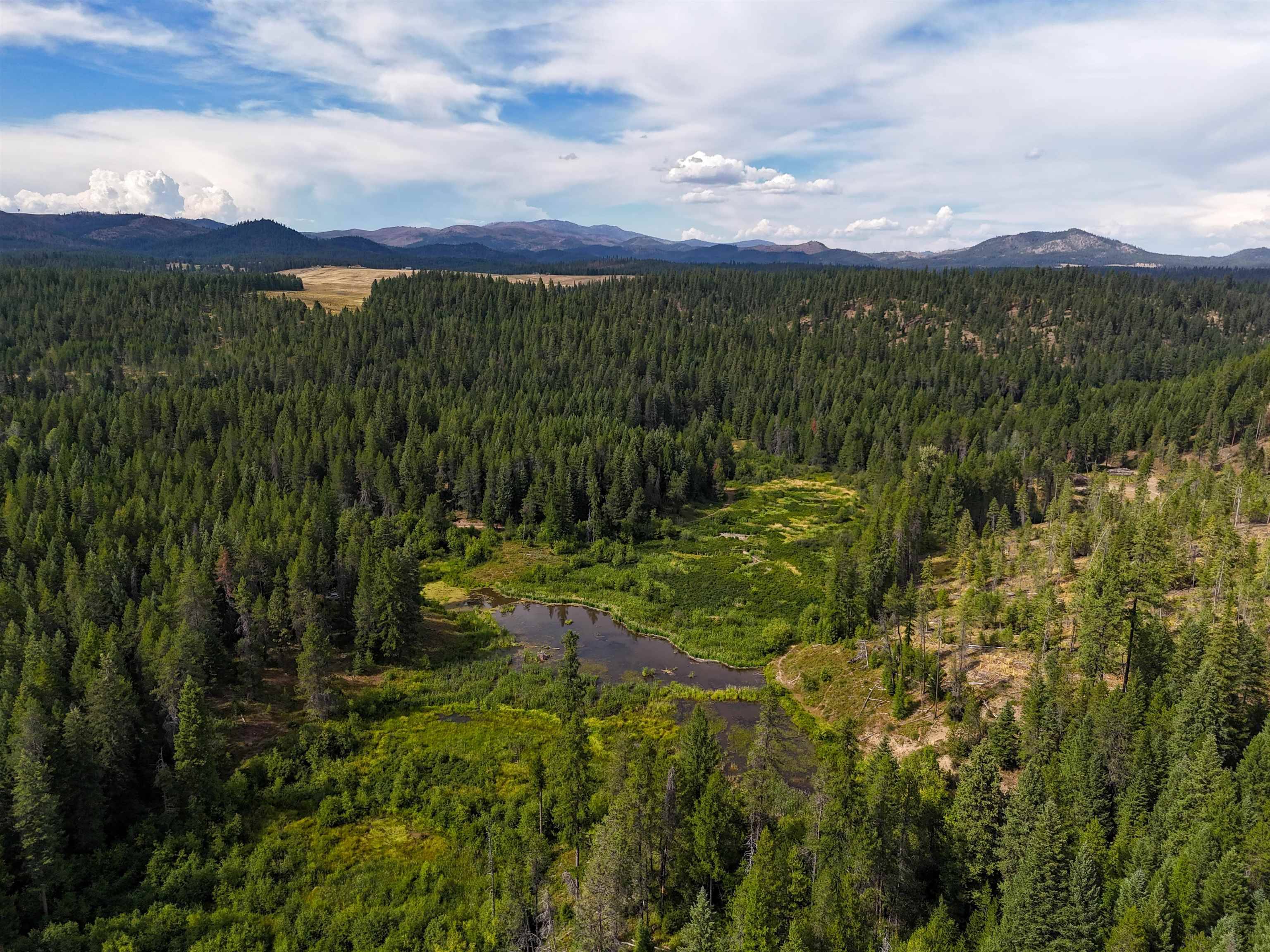 Springdale, WA 99173,52XX Wagner Rd