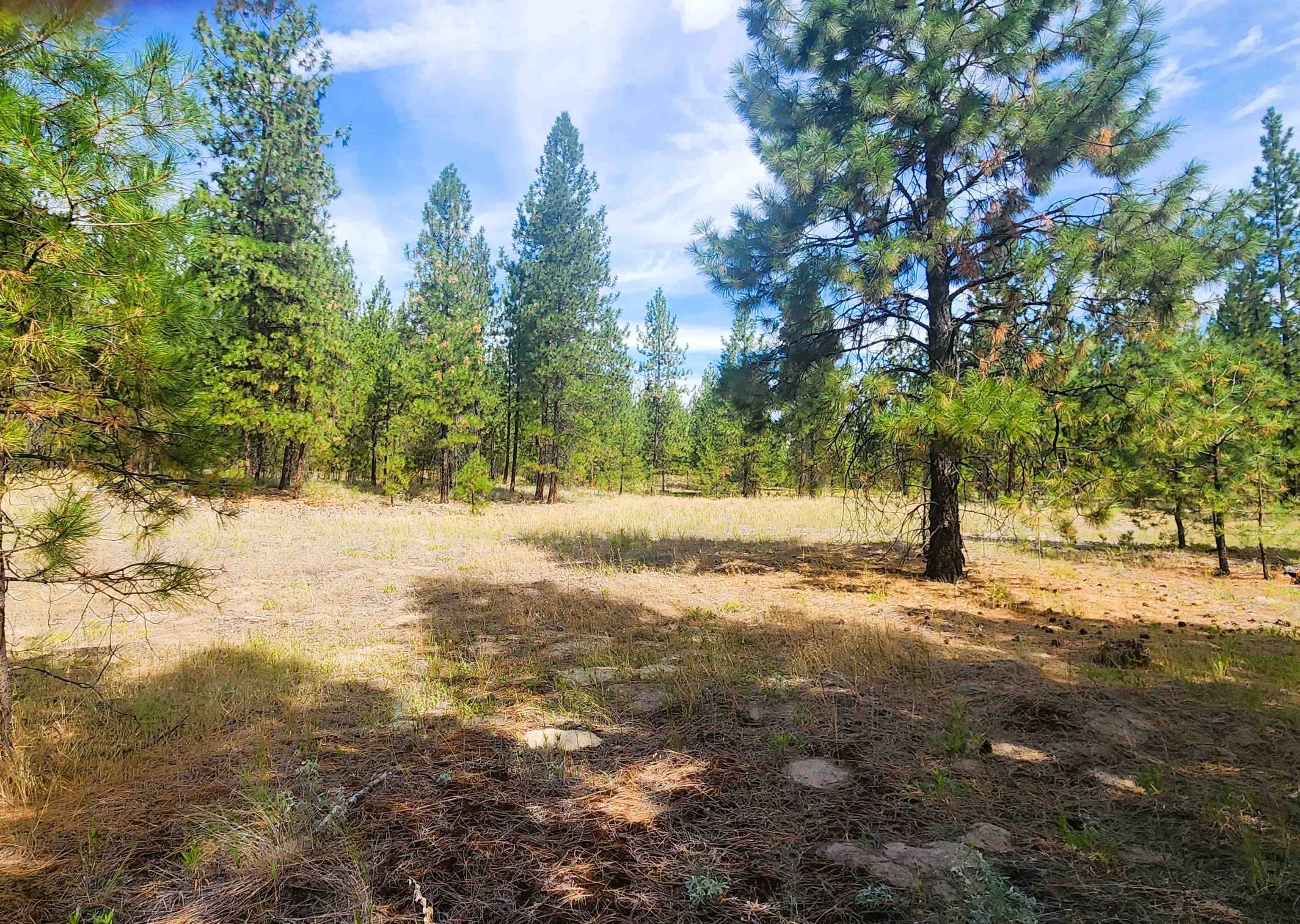 Kettle Falls, WA 99141-9998,1866K Northport Flat Creek Rd