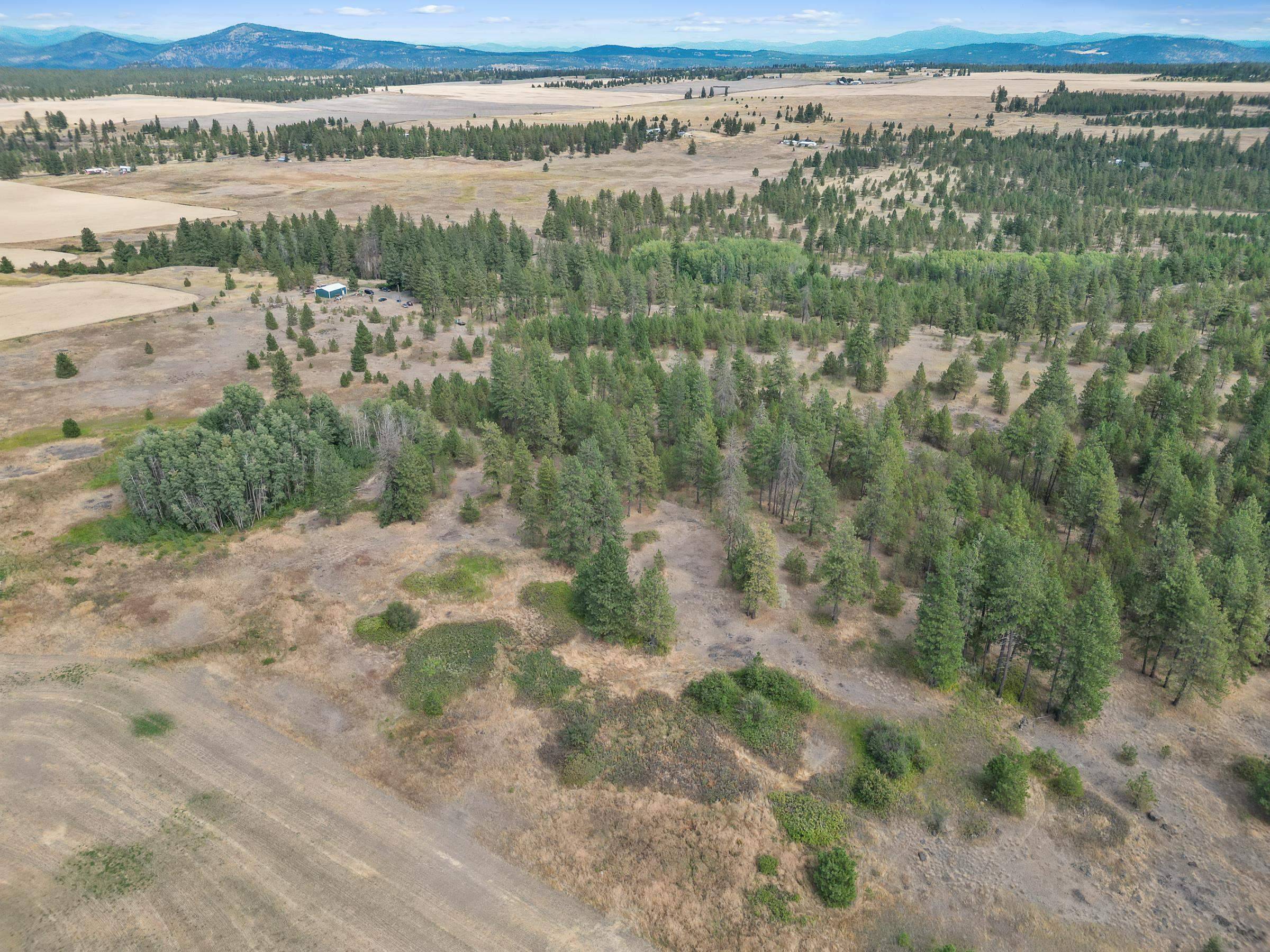 Nine Mile Falls, WA 99026,228xx W Four Mound Rd