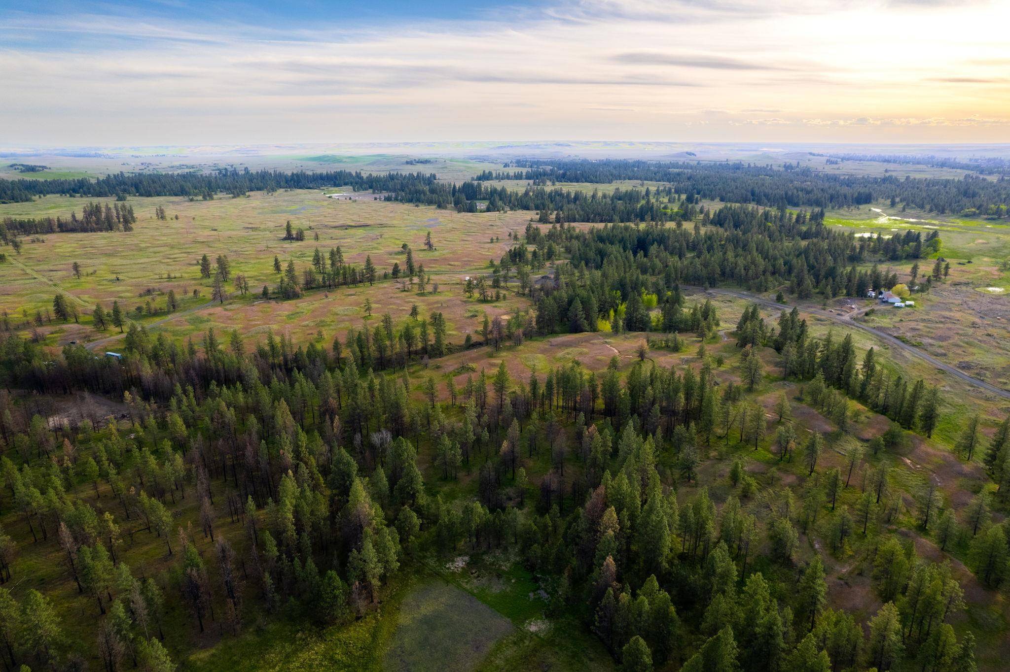 Cheney, WA 99004,000 Bootstrap Ln