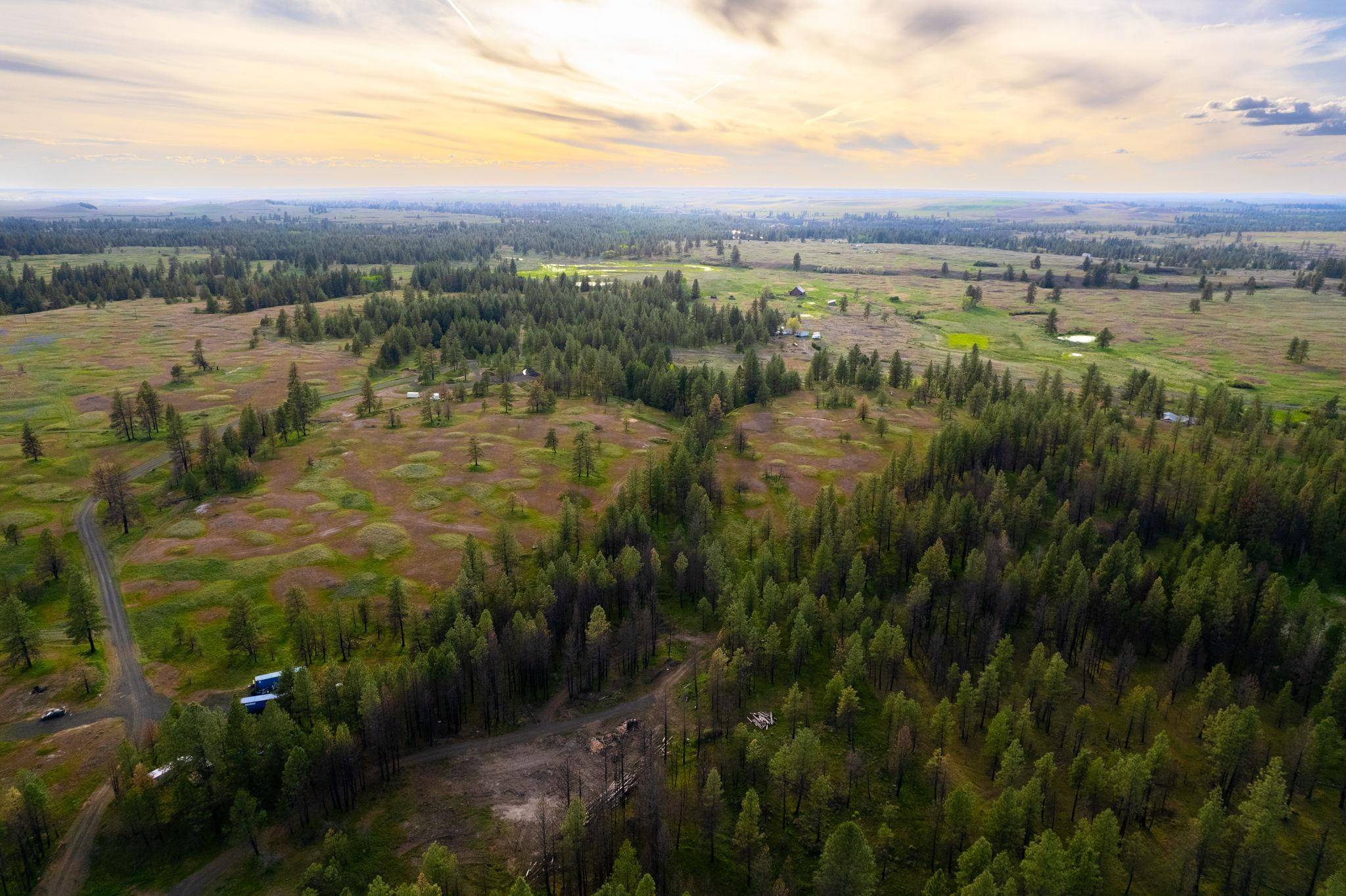 Cheney, WA 99004,000 Bootstrap Ln