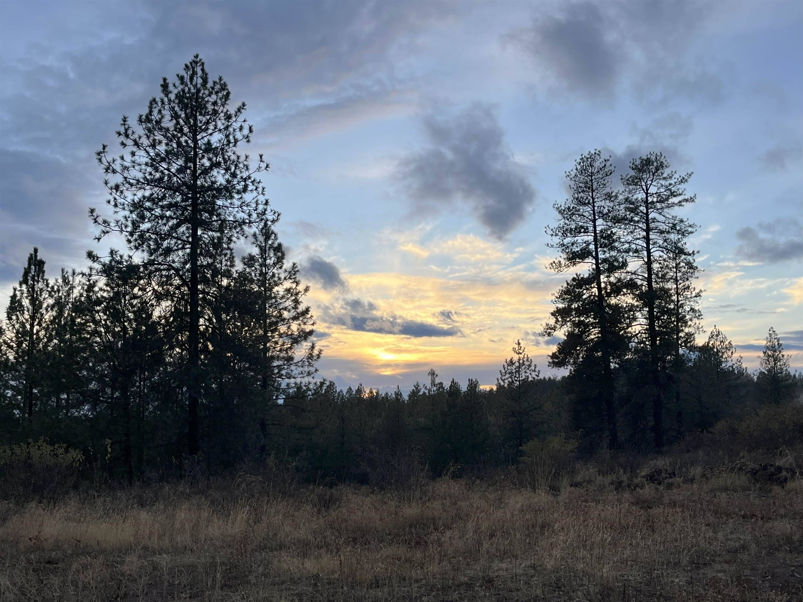 Chattaroy, WA 99003,100XX E Chinook Ln