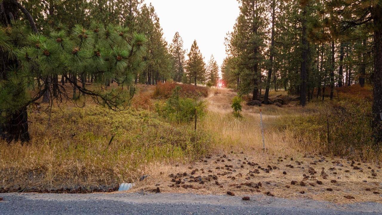 Mica, WA 99023,11204 S Jackson Rd