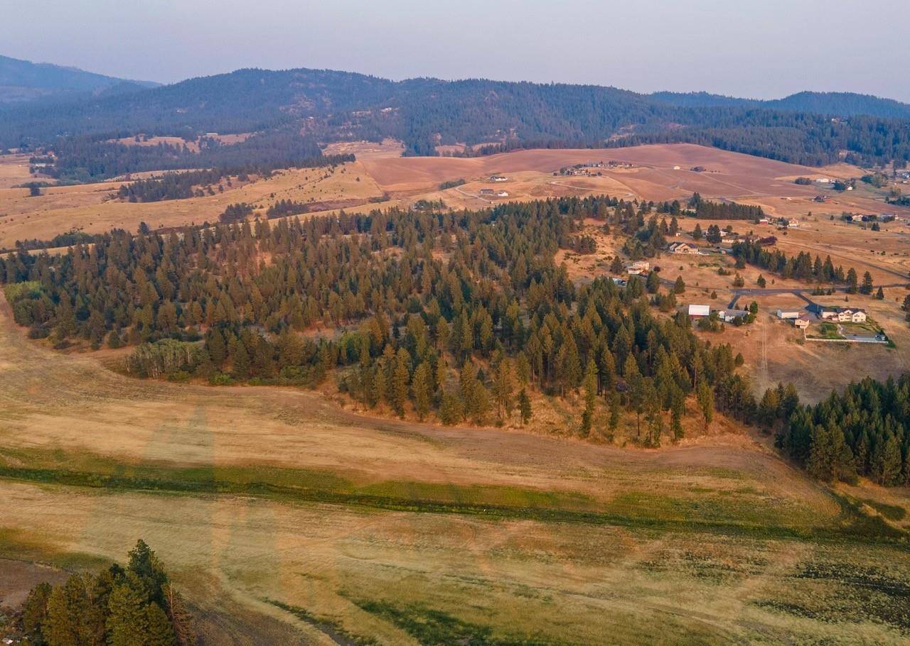 Mica, WA 99023,11204 S Jackson Rd