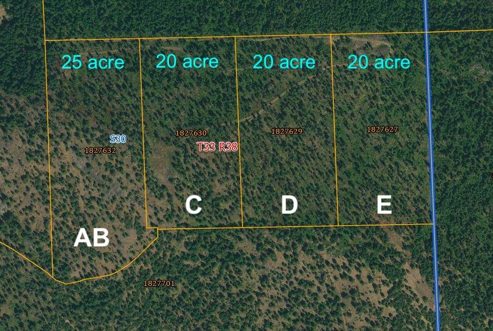 Gifford, WA 99131,Parcel C Daisy Mine Rd