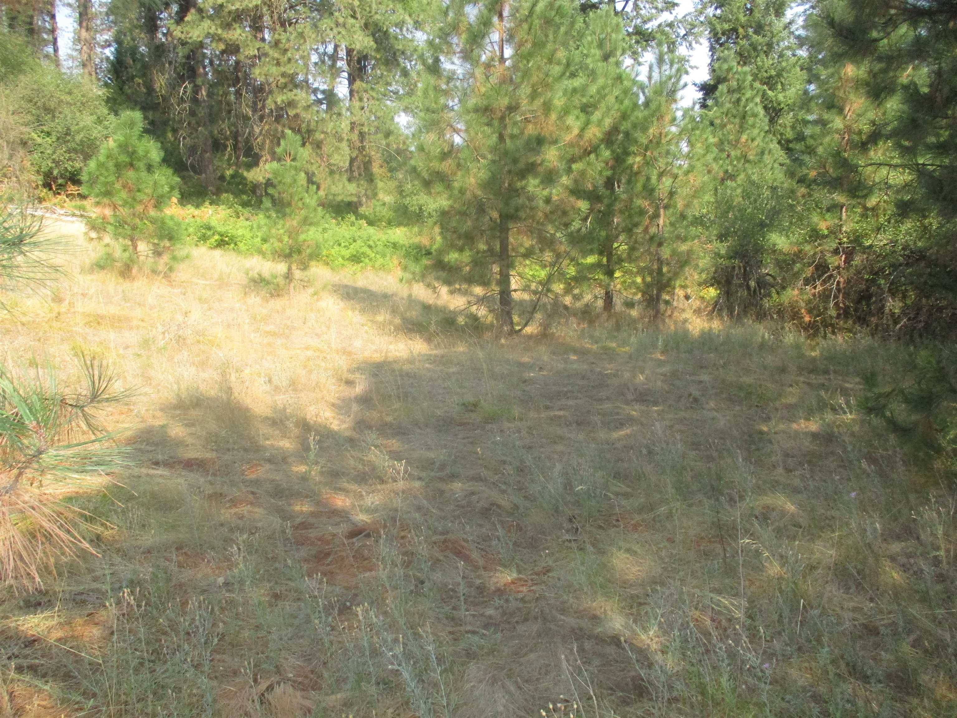 Chattaroy, WA 99003,Unassigned UNASSIGNED ADDRESS   XX River Estates Road Rd