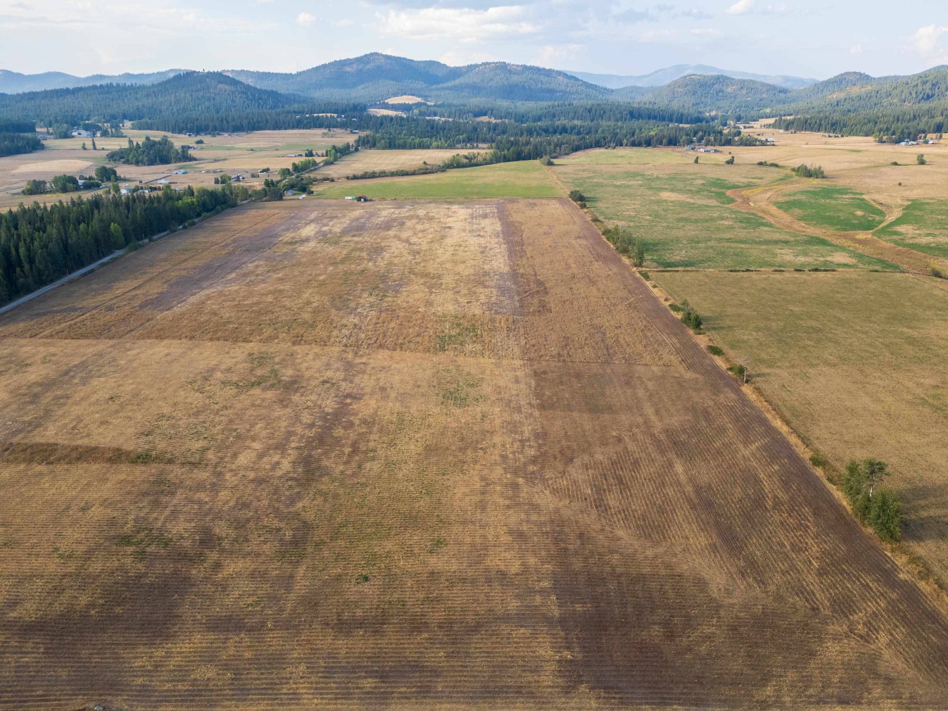 Deer Park, WA 99006,Lot 7 Oregon Rd