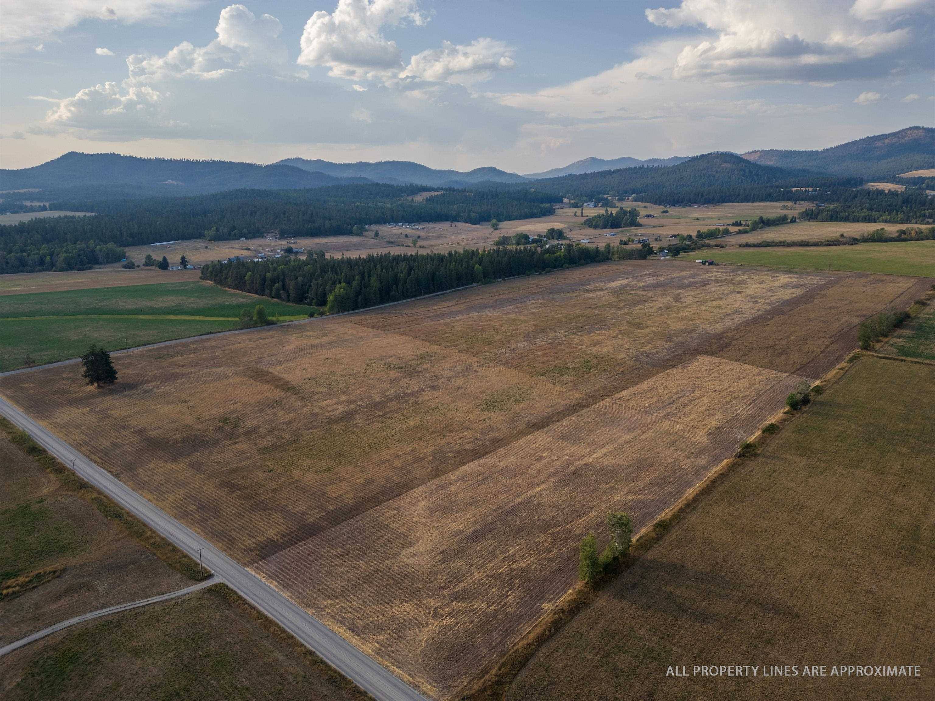 Deer Park, WA 99006,Lot 8 Oregon Rd