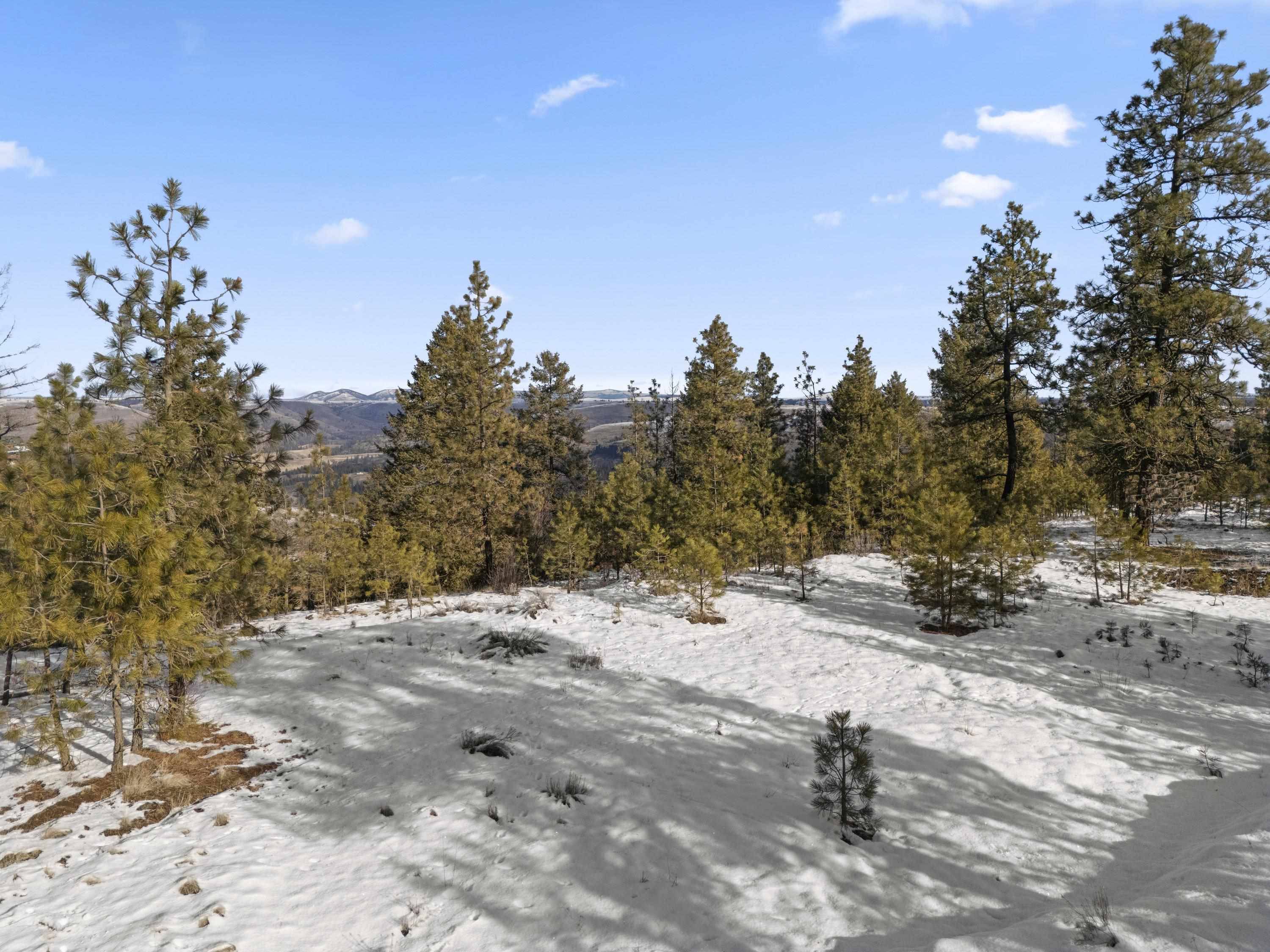 Davenport, WA 99122,34820 Partridge Ln N Ln