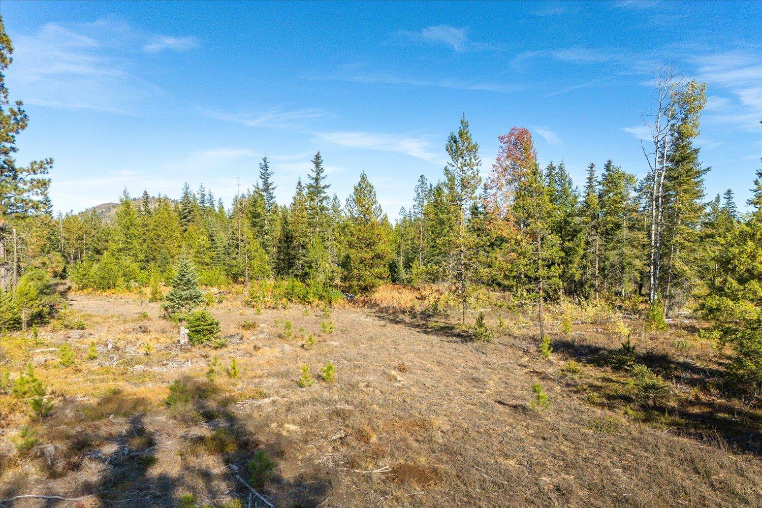 Newport, WA 99156,NKA Coyote Trl Rd #453119560002