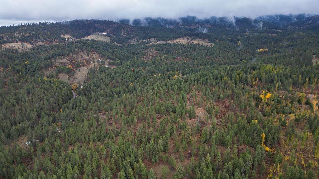 Mead, WA 99021,0 N Mt Carlton APN 47131.9081 Rd