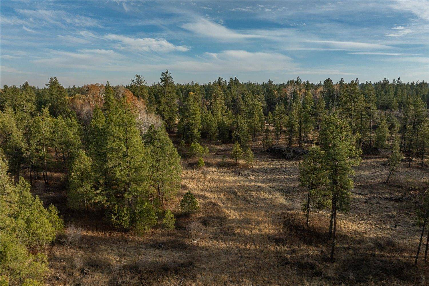 Cheney, WA 99004,XXXX Vacant Land #Parcels 3&4