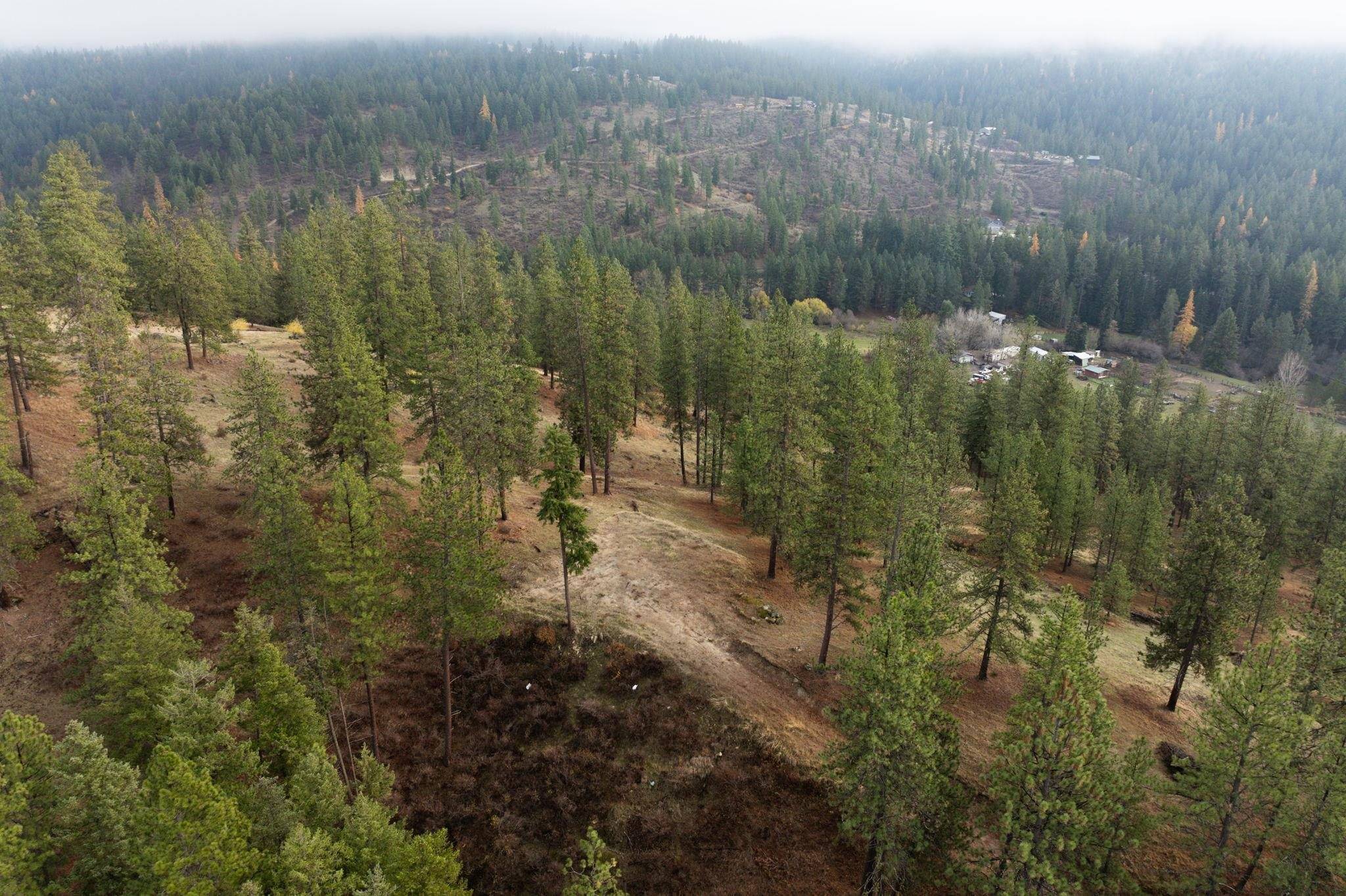 Mead, WA 99021,194XX Holcomb Rd