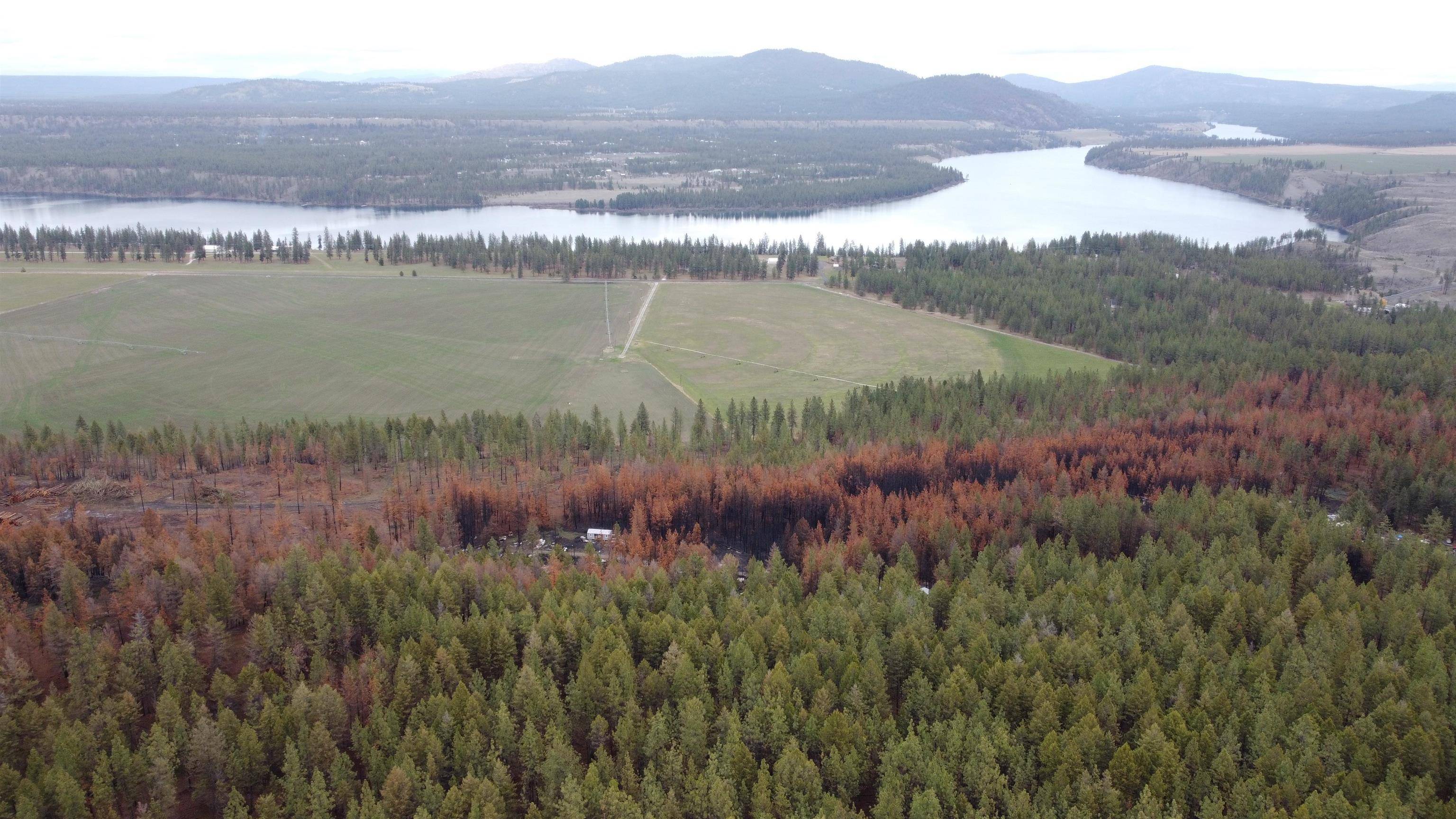 Ford, WA 99013,XXX Coyote Ridge Ln #parcel # 07312.9008