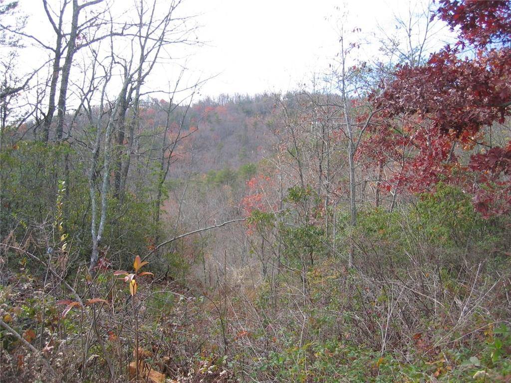 Ellijay, GA 30536,0 Pettit Ridge RD