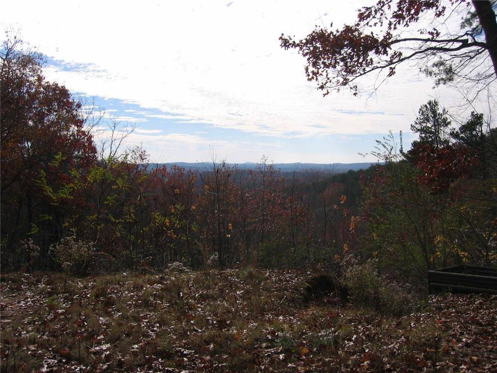 Ellijay, GA 30536,0 Pettit Ridge RD