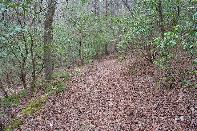 Dahlonega, GA 30533,41Ac Laurel Point RD E