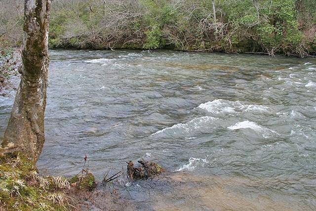 Dahlonega, GA 30533,41Ac Laurel Point RD E