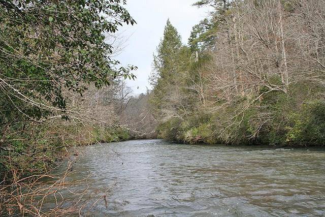 Dahlonega, GA 30533,41Ac Laurel Point RD E