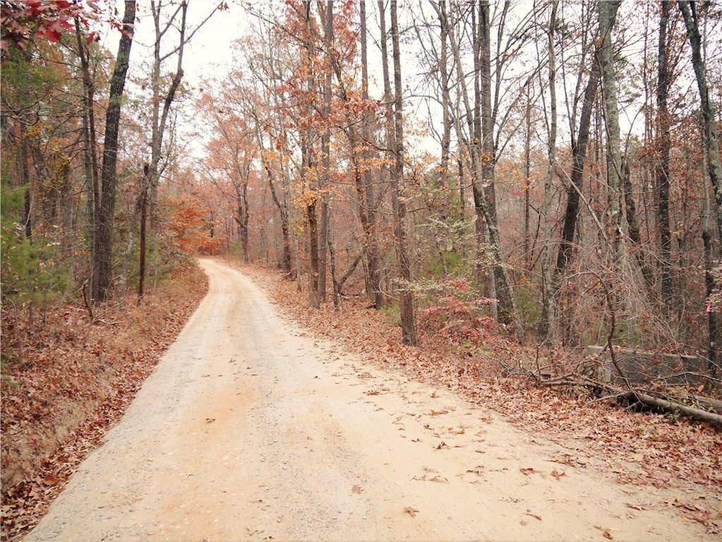 Dahlonega, GA 30533,0 Pecks Mill Creek RD