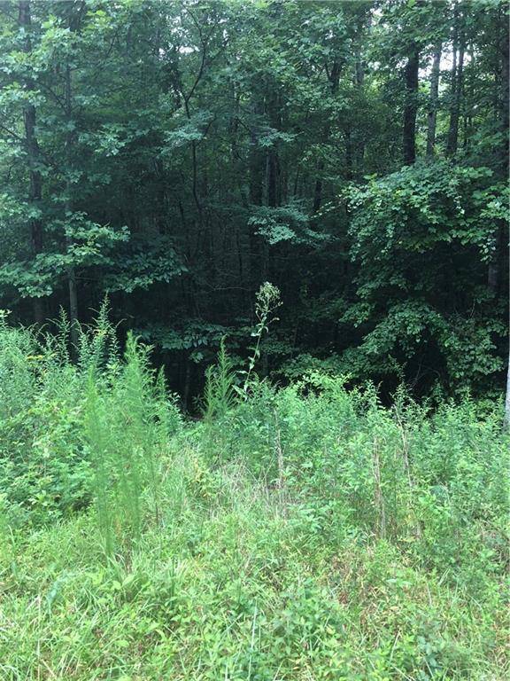 East Ellijay, GA 30540,0 Chopped Oak RD