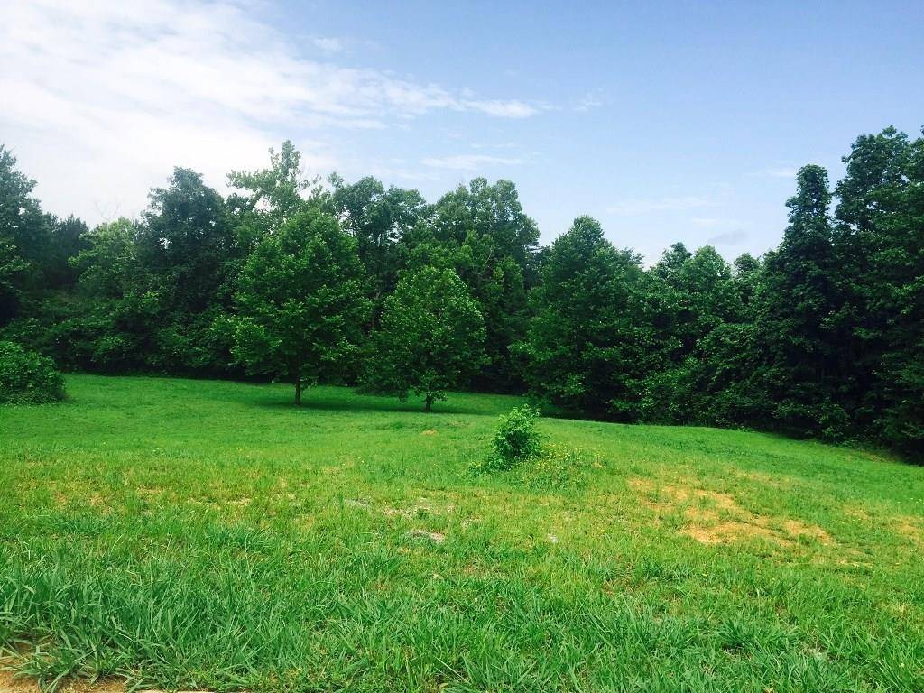 Calhoun, GA 30701,Lot 15 Wilshire WAY