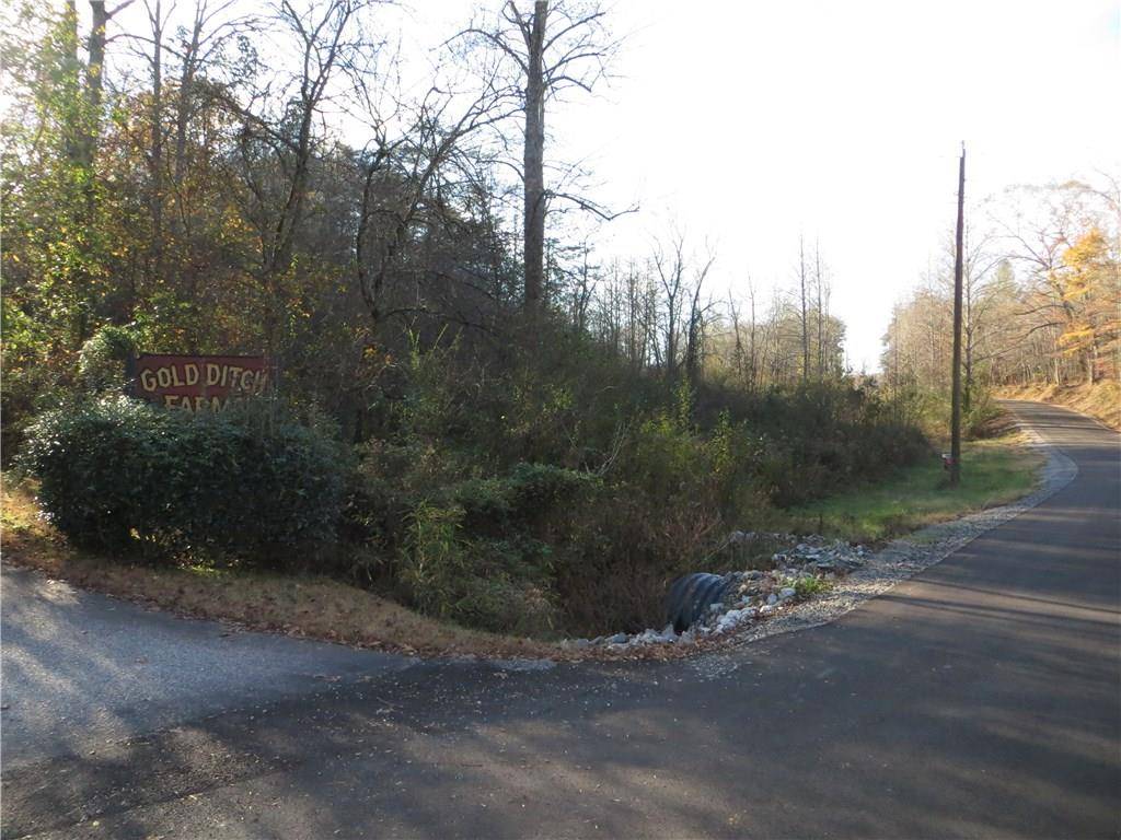 Cleveland, GA 30528,00 Gold Ditch RD