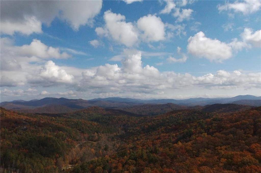 Cherry Log, GA 30522,0 Stanley Creek RD