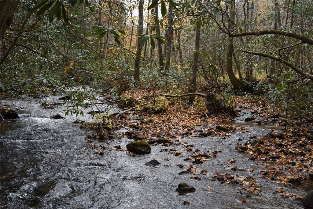 Cherry Log, GA 30522,0 Stanley Creek RD