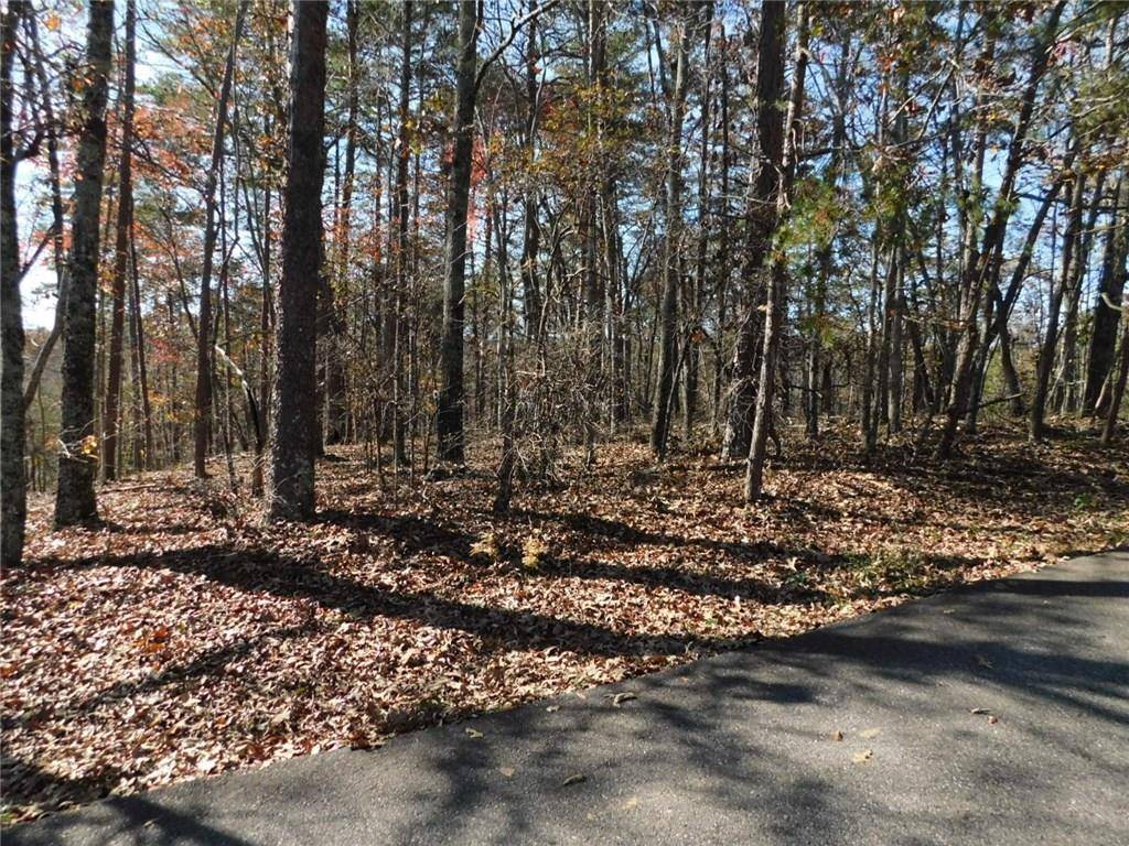 Dahlonega, GA 30533,Lot 85 N Pine TRL N