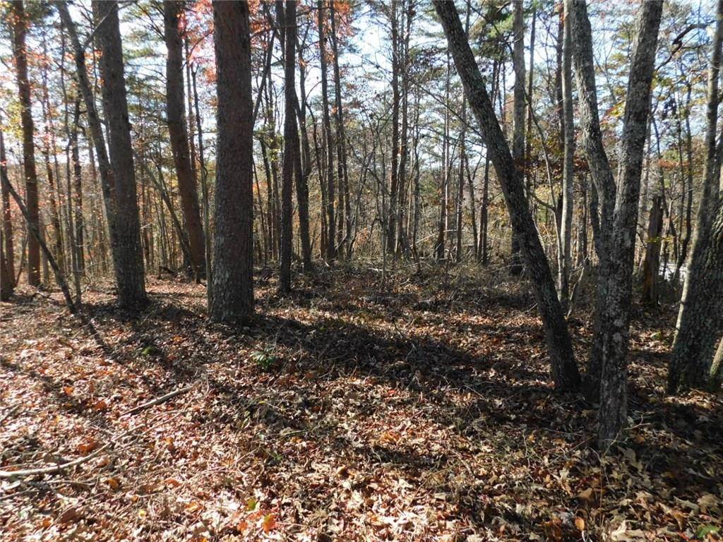 Dahlonega, GA 30533,Lot 85 N Pine TRL N