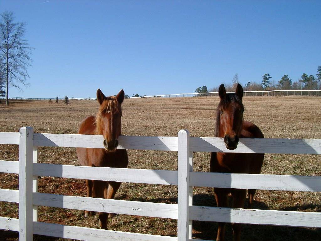 Newborn, GA 30056,1140 Mac Faddin LN