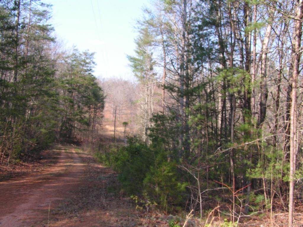 Cleveland, GA 30528,Lot 3 Emerald Vista DR