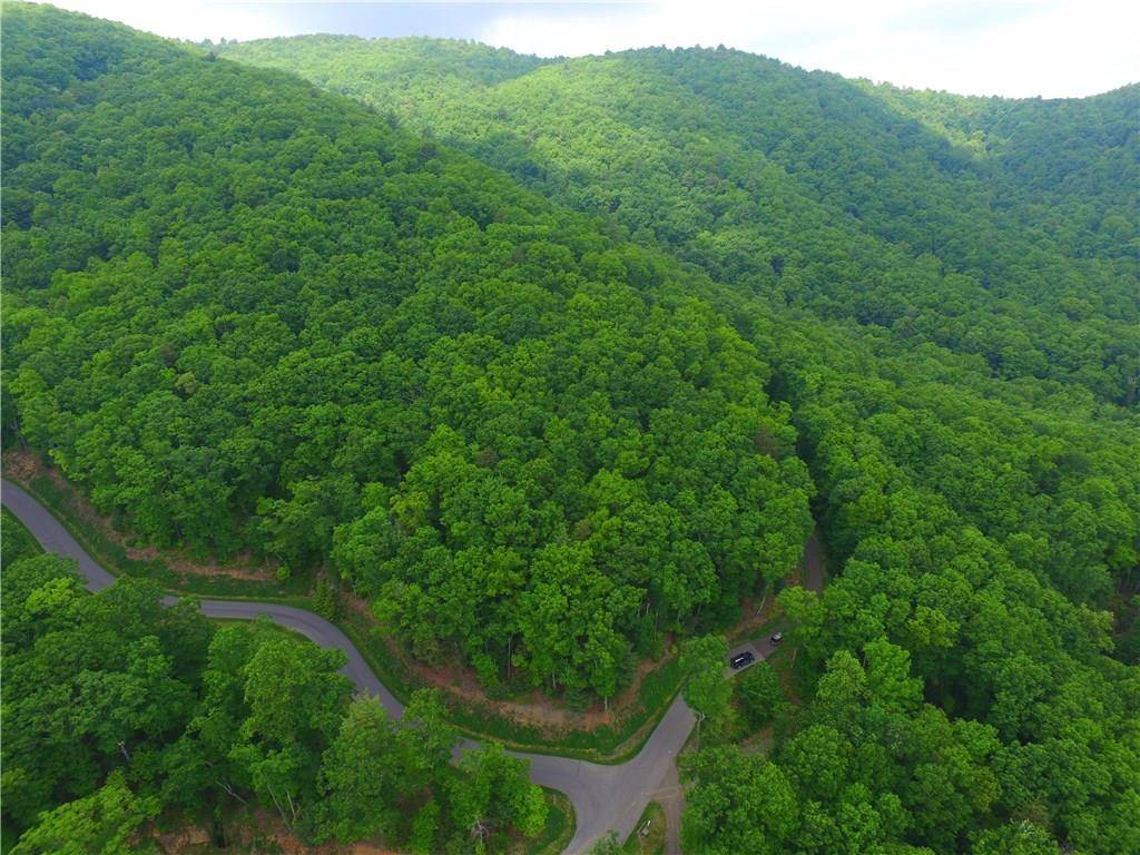 Ellijay, GA 30540,69 Chief  Whitetails RD