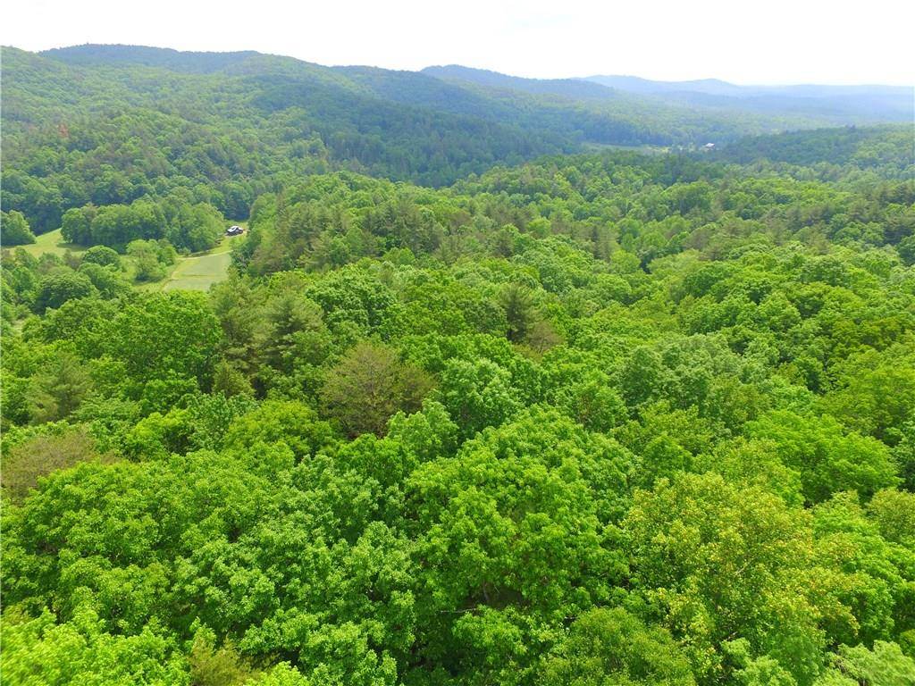 Ellijay, GA 30540,69 Chief  Whitetails RD