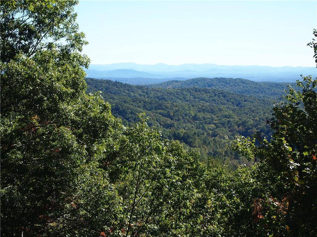 Ellijay, GA 30540,69 Chief  Whitetails RD