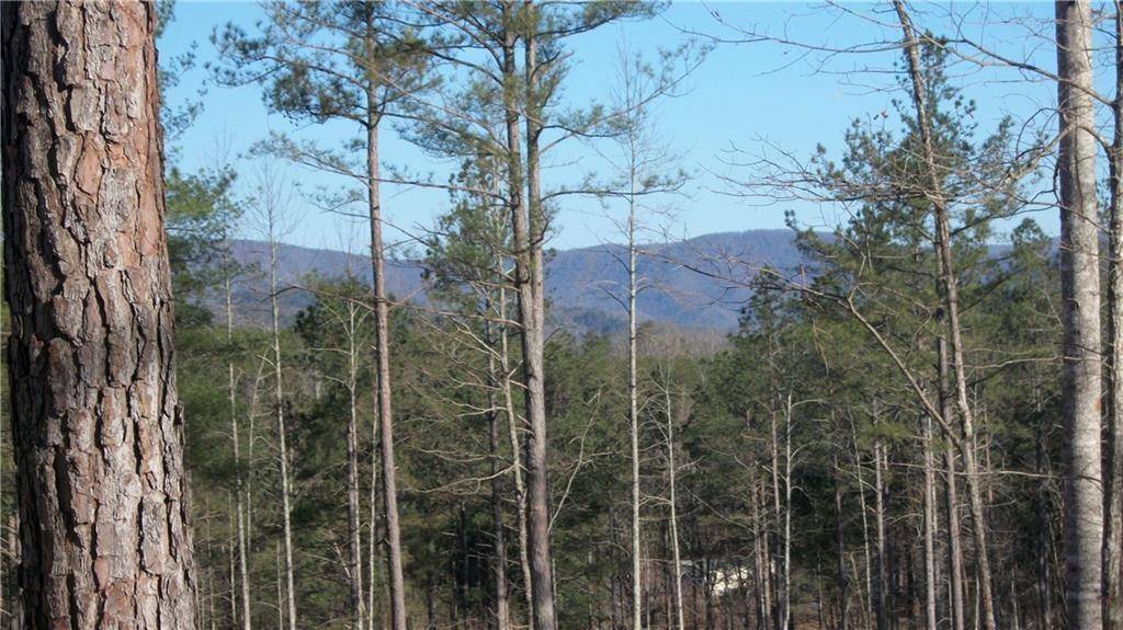 Dahlonega, GA 30533,Lot 5 N Station Gap DR N