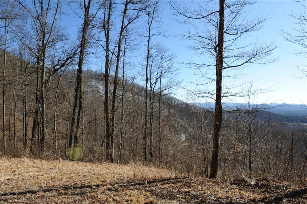 Ellijay, GA 30536,0 Valley Overlook DR