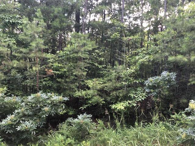 Ranger, GA 30734,1544 Dorian CT