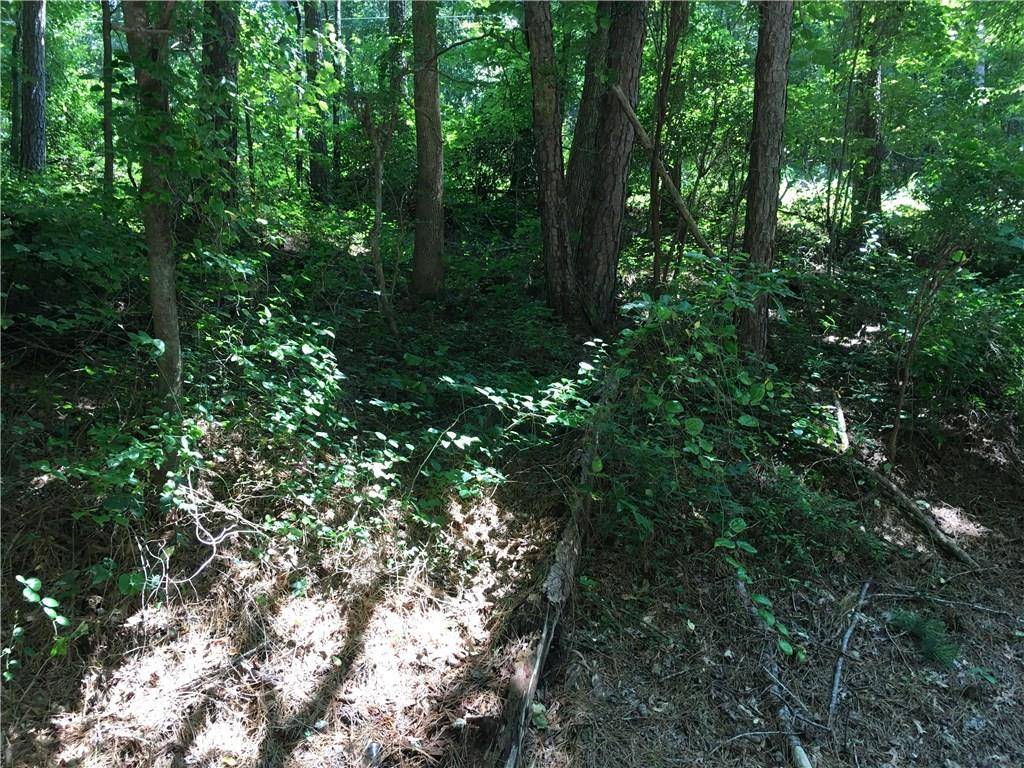 Waleska, GA 30183,0 Salacoa RD